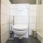 Narodni